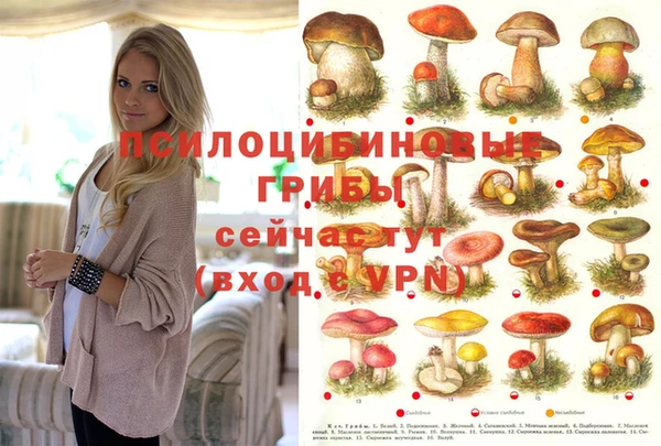 экстази Абаза