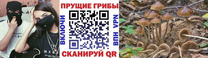 Галлюциногенные грибы GOLDEN TEACHER  MEGA tor  Кинель  магазин   