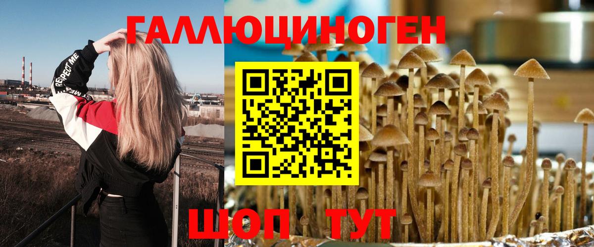 Галлюциногенные грибы MAGIC MUSHROOMS  Галлюциногенные грибы MAGIC MUSHROOMS  Вход с VPN  Кинель 